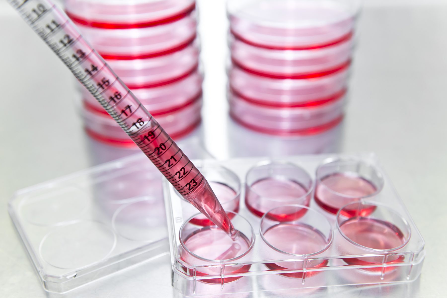 Laboratory culture plates